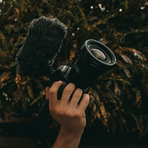 Paid Media Highlights